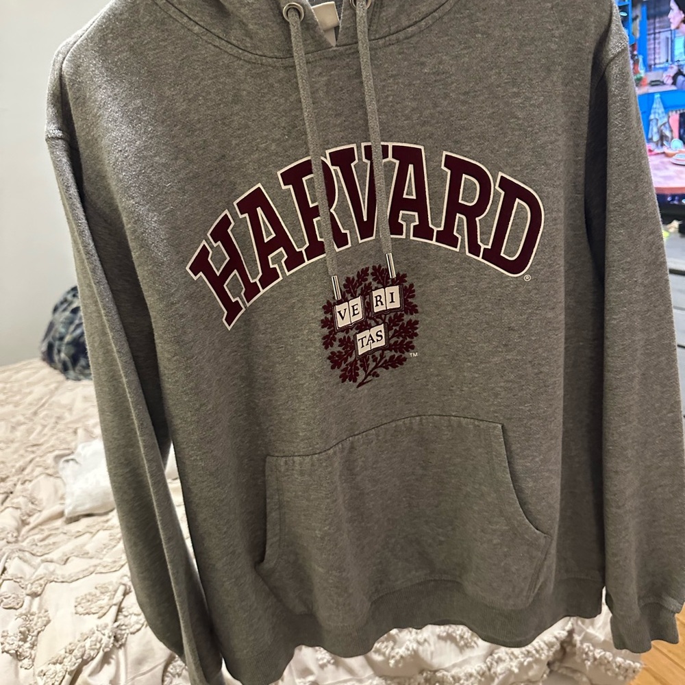 H&M Gray Logo Hoodie